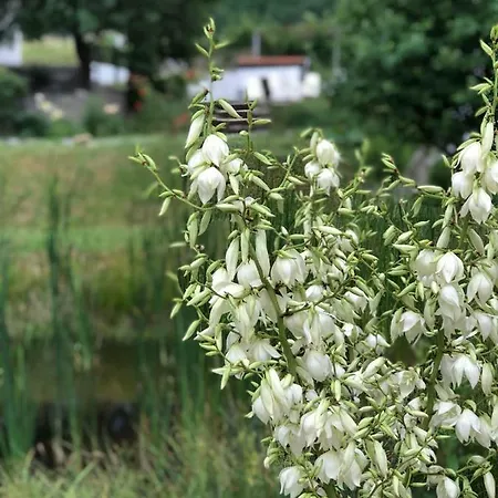 Дом отдыха Countryside Hungary *