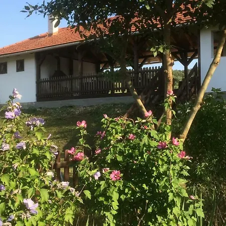 Countryside Hungary *